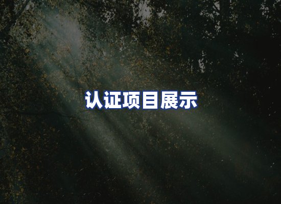 认证项目展示